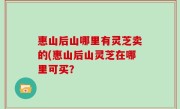 惠山后山哪里有灵芝卖的(惠山后山灵芝在哪里可买？