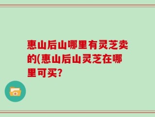 惠山后山哪里有灵芝卖的(惠山后山灵芝在哪里可买？