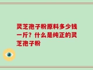 灵芝孢子粉原料多少钱一斤？什么是纯正的灵芝孢子粉