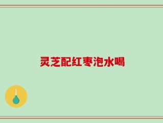 灵芝配红枣泡水喝