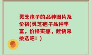 灵芝孢子的品种图片及价格(灵芝孢子品种丰富，价格实惠，赶快来挑选吧！)