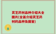 灵芝药材品种介绍大全图片(全面介绍灵芝药材的品种及图鉴)