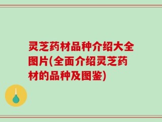 灵芝药材品种介绍大全图片(全面介绍灵芝药材的品种及图鉴)