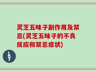 灵芝五味子副作用及禁忌(灵芝五味子的不良反应和禁忌症状)