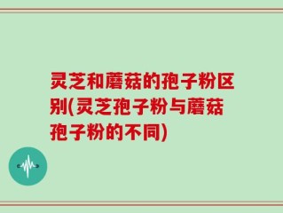 灵芝和蘑菇的孢子粉区别(灵芝孢子粉与蘑菇孢子粉的不同)