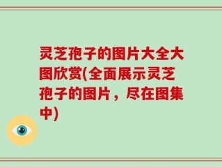 灵芝孢子的图片大全大图欣赏(全面展示灵芝孢子的图片，尽在图集中)