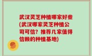 武汉灵芝种植哪家好些(武汉哪家灵芝种植公司可信？推荐几家值得信赖的种植基地)
