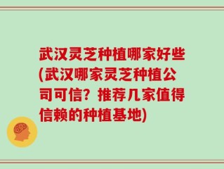 武汉灵芝种植哪家好些(武汉哪家灵芝种植公司可信？推荐几家值得信赖的种植基地)