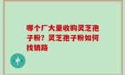 哪个厂大量收购灵芝孢子粉？灵芝孢子粉如何找销路