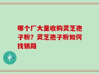 哪个厂大量收购灵芝孢子粉？灵芝孢子粉如何找销路