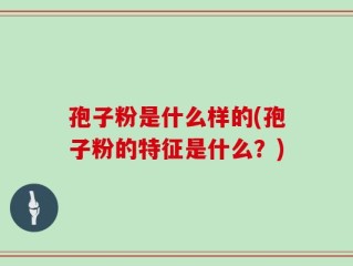 孢子粉是什么样的(孢子粉的特征是什么？)