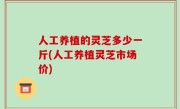 人工养植的灵芝多少一斤(人工养植灵芝市场价)