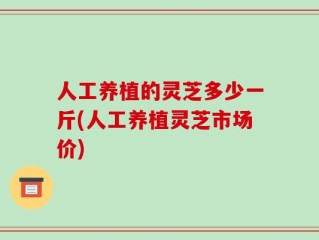 人工养植的灵芝多少一斤(人工养植灵芝市场价)