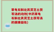 草龟石斛北芪灵芝土茯苓汤的功效(中药草龟石斛北芪灵芝土茯苓汤的健康益处)