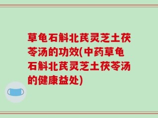 草龟石斛北芪灵芝土茯苓汤的功效(中药草龟石斛北芪灵芝土茯苓汤的健康益处)