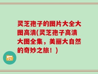 灵芝孢子的图片大全大图高清(灵芝孢子高清大图全集，美丽大自然的奇妙之旅！)