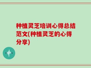 种植灵芝培训心得总结范文(种植灵芝的心得分享)