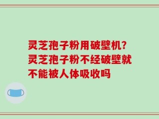 灵芝孢子粉用破壁机？灵芝孢子粉不经破壁就不能被人体吸收吗
