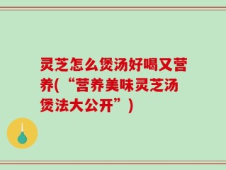 灵芝怎么煲汤好喝又营养(“营养美味灵芝汤煲法大公开”)