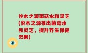 悦木之源菌菇水和灵芝(悦木之源推出菌菇水和灵芝，提升养生保健效果)