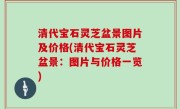 清代宝石灵芝盆景图片及价格(清代宝石灵芝盆景：图片与价格一览)