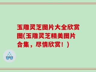 玉雕灵芝图片大全欣赏图(玉雕灵芝精美图片合集，尽情欣赏！)