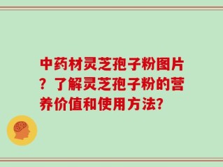 中药材灵芝孢子粉图片？了解灵芝孢子粉的营养价值和使用方法？