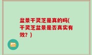 盆景干灵芝是真的吗(干灵芝盆景是否真实有效？)