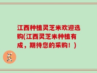 江西种植灵芝米欢迎选购(江西灵芝米种植有成，期待您的采购！)