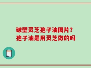 破壁灵芝孢子油图片？孢子油是用灵芝做的吗