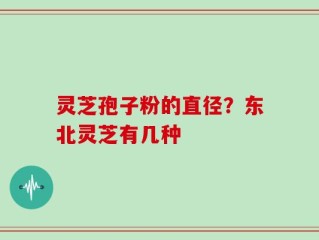 灵芝孢子粉的直径？东北灵芝有几种