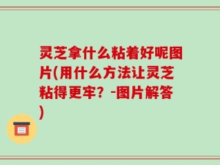 灵芝拿什么粘着好呢图片(用什么方法让灵芝粘得更牢？-图片解答)