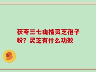 茯苓三七山楂灵芝孢子粉？灵芝有什么功效