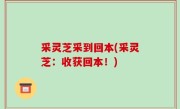 采灵芝采到回本(采灵芝：收获回本！)