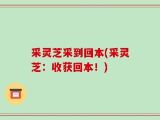采灵芝采到回本(采灵芝：收获回本！)