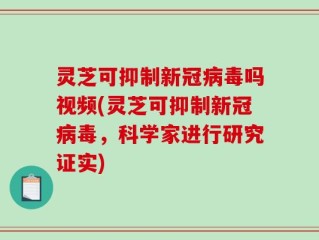 灵芝可抑制新冠病毒吗视频(灵芝可抑制新冠病毒，科学家进行研究证实)