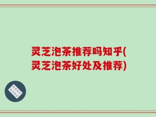 灵芝泡茶推荐吗知乎(灵芝泡茶好处及推荐)