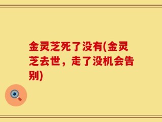 金灵芝死了没有(金灵芝去世，走了没机会告别)