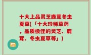 十大上品灵芝鹿茸冬虫夏草(「十大珍稀草药，品质极佳的灵芝、鹿茸、冬虫夏草等」)