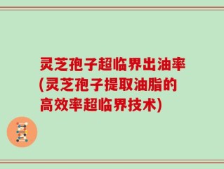 灵芝孢子超临界出油率(灵芝孢子提取油脂的高效率超临界技术)