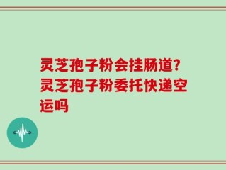 灵芝孢子粉会挂肠道？灵芝孢子粉委托快递空运吗
