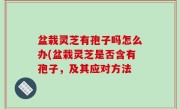 盆栽灵芝有孢子吗怎么办(盆栽灵芝是否含有孢子，及其应对方法
