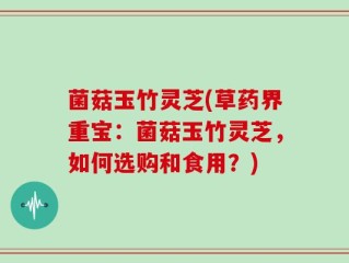 菌菇玉竹灵芝(草药界重宝：菌菇玉竹灵芝，如何选购和食用？)
