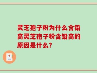 灵芝孢子粉为什么含铅高灵芝孢子粉含铅高的原因是什么？