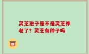 灵芝孢子是不是灵芝养老了？灵芝有种子吗
