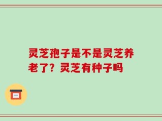 灵芝孢子是不是灵芝养老了？灵芝有种子吗