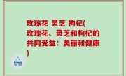 玫瑰花 灵芝 枸杞(玫瑰花、灵芝和枸杞的共同受益：美丽和健康)
