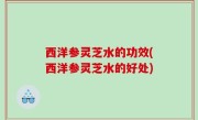 西洋参灵芝水的功效(西洋参灵芝水的好处)