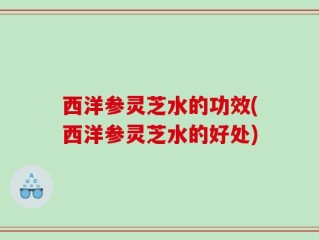 西洋参灵芝水的功效(西洋参灵芝水的好处)
