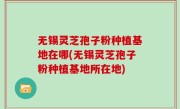 无锡灵芝孢子粉种植基地在哪(无锡灵芝孢子粉种植基地所在地)